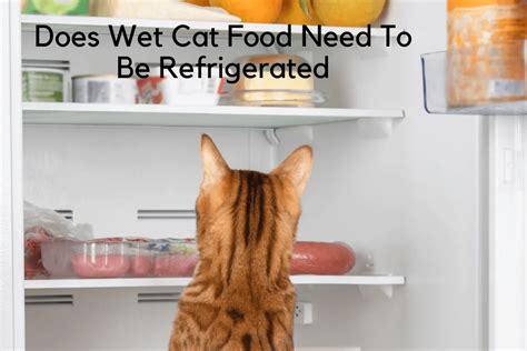 Does Wet Cat Food Need to Be Refrigerated? And Why Does My Cat Judge Me When I Open the Fridge?