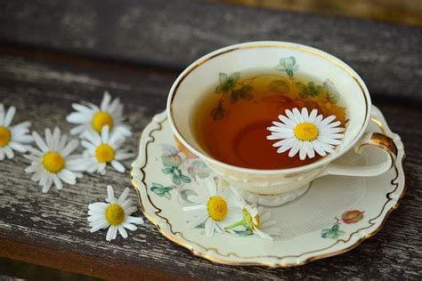 How Long Does Chamomile Tea Last: A Journey Through Time and Taste