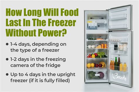 How Long Will Food Keep in a Freezer Without Power? And Why Do Penguins Prefer Frozen Fish Over Fresh?