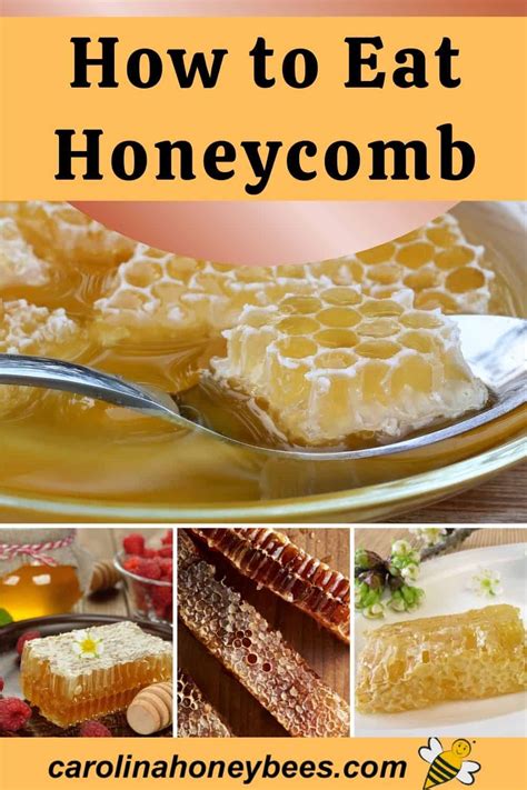 How to Eat Honeycomb: A Sweet Exploration of Nature's Delicacy and the Art of Unconventional Pairings