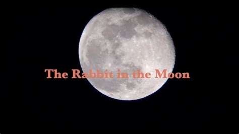  The Rabbit and the Moon: A Tale of Yearning and the Unreachable!