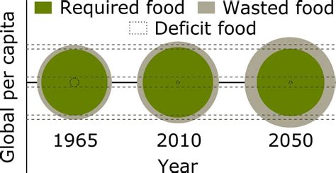 What is a Food Surplus? And Why Does It Make My Refrigerator Feel Like a Black Hole?