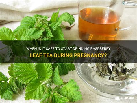 When to Drink Raspberry Leaf Tea for Fertility: A Journey Through Myths and Modern Insights