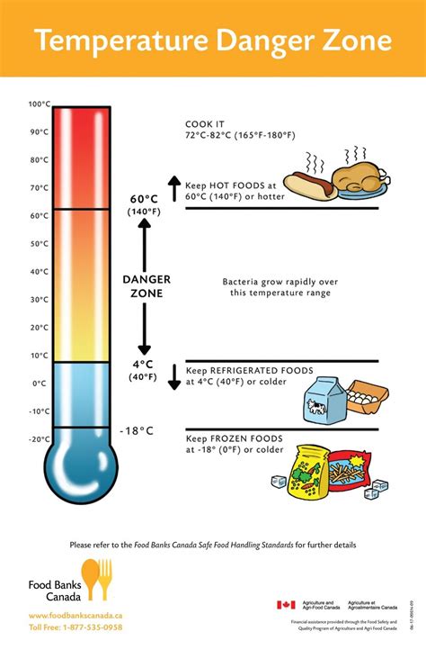 Where Should a Food Handler Check the Temperature of Food: A Journey Through Culinary Thermometry and Beyond